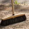 Kép 2/4 - York partvis fej fából – 33x12x8,0 cm, 30% természetes lószőrből, kíméletes és hatékony sepréshez-2