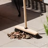 Kép 3/4 - York partvis fej fából – 33x12x8,0 cm, 30% természetes lószőrből, kíméletes és hatékony sepréshez-3