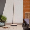 Kép 4/4 - York partvis fej fából – 33x12x8,0 cm, 30% természetes lószőrből, kíméletes és hatékony sepréshez-4